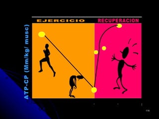 20_


15_


10_


5_
 0_
      0   MINUTOS   10 2   3   5   10   114
 