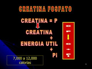 7,000 a 12,000
    calorías     13
 