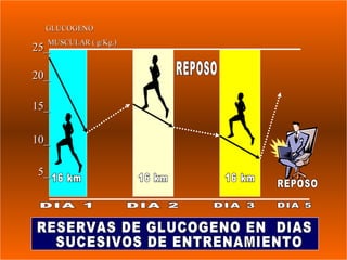 GLUCOGENO
   MUSCULAR ( g/Kg.)
25_MUSCULAR ( g/Kg.)

20_

15_

10_

 5_




                       130
 