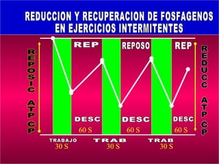 60 S          60 S          60 S

30 S          30 S          30 S
                                          136
 