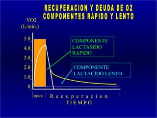 VO2
(L/min.)

 5.0_                   COMPONENTE
 4.0_                   LACTASIDO
                        RAPIDO
 3.0_
 2.0_                    COMPONENTE
                         LACTACIDO LENTO
 1.0_
  0_
        ejerc   R e c u p e r a c i o n
                      TIEMPO
                                           138
 