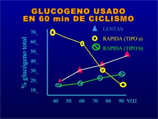 LENTAS
                    70_
                                              RAPIDA (TIPO a)
% glucógeno total

                    60_
                                              RAPIDA (TIPO b)
                    50_
                    40_
                    30_
                    20_
                    10_

                          40   50   60   70    80   90 VO2
                                                                140
 