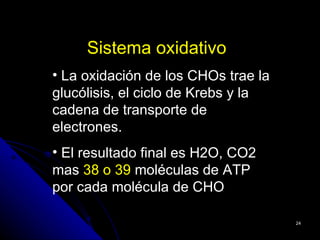 Sistema oxidativo
• La oxidación de los CHOs trae la
glucólisis, el ciclo de Krebs y la
cadena de transporte de
electrones.
• El resultado final es H2O, CO2
mas 38 o 39 moléculas de ATP
por cada molécula de CHO

                                     24
 