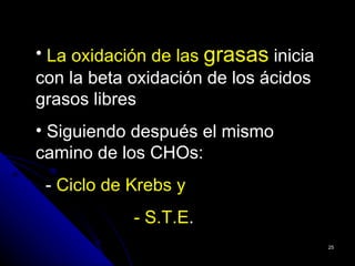 • La oxidación de las grasas inicia
con la beta oxidación de los ácidos
grasos libres
• Siguiendo después el mismo
camino de los CHOs:
 - Ciclo de Krebs y
            - S.T.E.
                                      25
 
