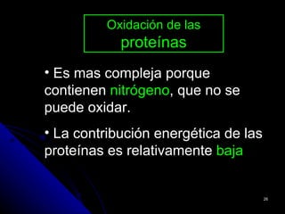 Oxidación de las
            proteínas
• Es mas compleja porque
contienen nitrógeno, que no se
puede oxidar.
• La contribución energética de las
proteínas es relativamente baja


                                      26
 