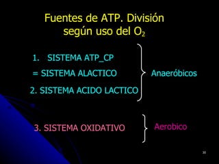 Fuentes de ATP. División
      según uso del O2

1. SISTEMA ATP_CP
= SISTEMA ALACTICO         Anaeróbicos

2. SISTEMA ACIDO LACTICO



3. SISTEMA OXIDATIVO       Aerobico

                                         30
 