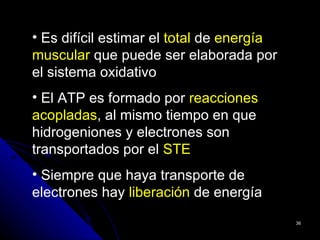 • Es difícil estimar el total de energía
muscular que puede ser elaborada por
el sistema oxidativo
• El ATP es formado por reacciones
acopladas, al mismo tiempo en que
hidrogeniones y electrones son
transportados por el STE
• Siempre que haya transporte de
electrones hay liberación de energía
                                           36
 