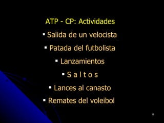 ATP - CP: Actividades
 Salida de un velocista

 Patada del futbolista
     Lanzamientos
      Saltos
  Lances al canasto
 Remates del voleibol
                           38
 