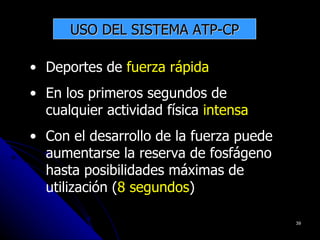 USO DEL SISTEMA ATP-CP

• Deportes de fuerza rápida
• En los primeros segundos de
  cualquier actividad física intensa
• Con el desarrollo de la fuerza puede
  aumentarse la reserva de fosfágeno
  hasta posibilidades máximas de
  utilización (8 segundos)

                                         39
 