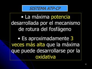 SISTEMA ATP-CP

    • La máxima potencia
desarrollada por el mecanismo
   de rotura del fosfágeno
  • Es aproximadamente 3
veces más alta que la máxima
que puede desarrollarse por la
          oxidativa
                                 42
 