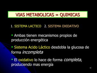 VIAS METABOLICAS = QUIMICAS

1. SISTEMA LACTICO 2. SISTEMA OXIDATIVO

 Ambas tienen mecanismos propios de
producción energética
 Sistema Acido Láctico desdobla la glucosa de
forma incompleta
 El oxidativo lo hace de forma completa,
produciendo mas energía
                                                 43
 