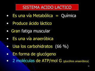 SISTEMA ACIDO LACTICO
• Es una vía Metabólica = Química
• Produce ácido láctico
• Gran fatiga muscular
• Es una vía anaeróbica
• Usa los carbohidratos (66 %)
• En forma de glucógeno
• 2 moléculas de ATP/mol G   (glucólisis anaeróbica)
                                                   44
 