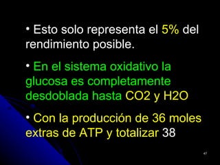 • Esto solo representa el 5% del
rendimiento posible.
• En el sistema oxidativo la
glucosa es completamente
desdoblada hasta CO2 y H2O
• Con la producción de 36 moles
extras de ATP y totalizar 38
                                   47
 