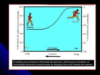 A medida que aumenta la intensidad del ejercicio y disminuye su duración, el
combustible alimenticio predominante se desplaza hacia los hidratos de carbono

                                                                                 59
 