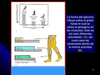 La forma del ejercicio
influye sobre el grado
    hasta el cual se
utiliza el glicógeno en
los músculos. Esto es
  así para diferentes
 actividades (A), así
     como para las
variaciones dentro de
  la misma actividad
           (B).




                     64
 