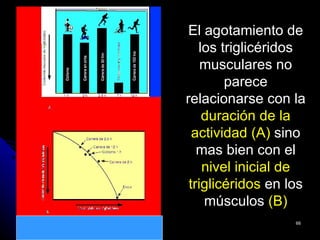 El agotamiento de
   los triglicéridos
    musculares no
        parece
relacionarse con la
    duración de la
  actividad (A) sino
   mas bien con el
    nivel inicial de
 triglicéridos en los
    músculos (B)
                   66
 