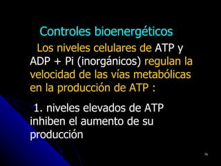 Controles bioenergéticos
 Los niveles celulares de ATP y
ADP + Pi (inorgánicos) regulan la
velocidad de las vías metabólicas
en la producción de ATP :
 1. niveles elevados de ATP
inhiben el aumento de su
producción
                                    74
 