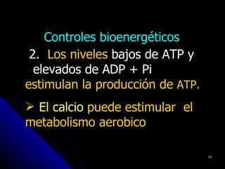 Controles bioenergéticos
 2. Los niveles bajos de ATP y
  elevados de ADP + Pi
estimulan la producción de ATP.
 El calcio puede estimular el
metabolismo aerobico

                                  75
 