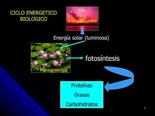 SOL
CICLO ENERGETICO
    BIOLOGICO              Energía nuclear



                Energía solar (luminosa)



                                     fotosíntesis
          Plantas verdes


                            Proteínas
                              Grasas
                       Carbohidratos                9
 