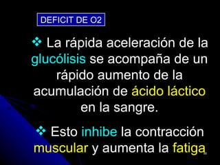 DEFICIT DE O2

 La rápida aceleración de la
glucólisis se acompaña de un
    rápido aumento de la
acumulación de ácido láctico
         en la sangre.
 Esto inhibe la contracción
muscular y aumenta la fatiga98
 