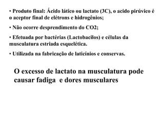 O excesso de lactato na musculatura pode
causar fadiga e dores musculares
• Produto final: Ácido lático ou lactato (3C), o acido pirúvico é
o aceptor final de elétrons e hidrogênios;
• Não ocorre desprendimento do CO2;
• Efetuada por bactérias (Lactobacilos) e células da
musculatura estriada esquelética.
• Utilizada na fabricação de laticínios e conservas.
 