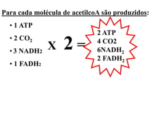Para cada molécula de acetilcoA são produzidos:
• 1 ATP
• 2 CO2
• 3 NADH2
• 1 FADH2
X 2 =
2 ATP
4 CO2
6NADH2
2 FADH2
 
