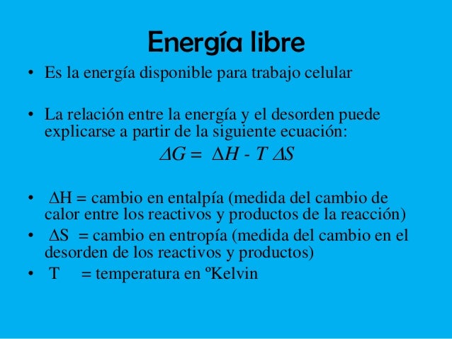 Prueba alimentos que aceleran el metabolismo para quemar grasa