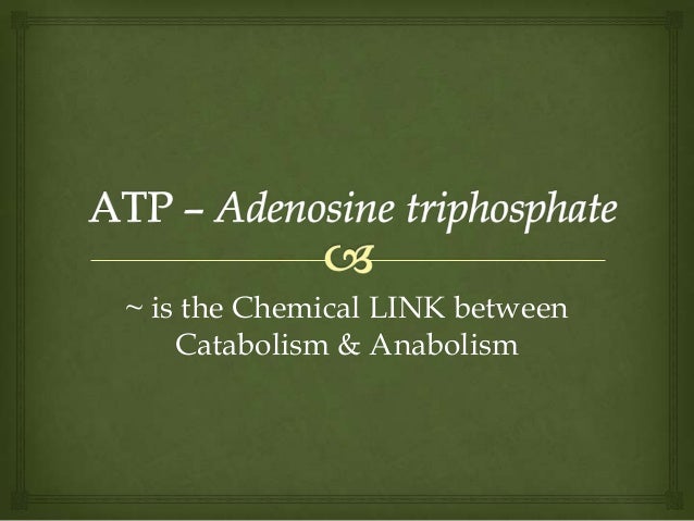 How many phosphate groups does ATP contain?
