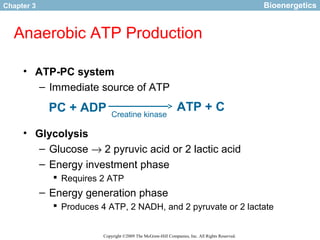 FISIOLOGI SENAM Bioenergetics | PPT