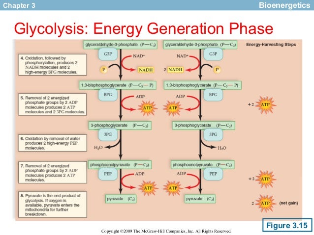 acuity at home mcgraw hill login