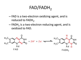FAD/FADH2
– FAD is a two-electron oxidizing agent, and is
reduced to FADH2.
– FADH2 is a two-electron reducing agent, and is
oxidized to FAD.
 