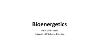 Bioenergetics
Ismat Ullah Mahr
University Of Lahore, Pakistan
 