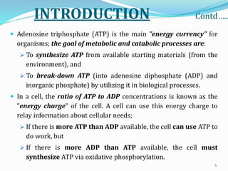  Adenosine triphosphate (ATP) is the main "energy currency" for
organisms; the goal of metabolic and catabolic processes are:
 To synthesize ATP from available starting materials (from the
environment), and
 To break-down ATP (into adenosine diphosphate (ADP) and
inorganic phosphate) by utilizing it in biological processes.
 In a cell, the ratio of ATP to ADP concentrations is known as the
"energy charge" of the cell. A cell can use this energy charge to
relay information about cellular needs;
 If there is more ATP than ADP available, the cell can use ATP to
do work, but
 If there is more ADP than ATP available, the cell must
synthesize ATP via oxidative phosphorylation.
5
INTRODUCTION Contd…..
 