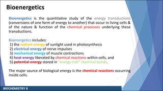 Bioenergetics.pdf