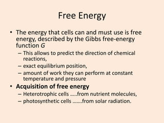Free Energy
• The energy that cells can and must use is free
energy, described by the Gibbs free-energy
function G
– This allows to predict the direction of chemical
reactions,
– exact equilibrium position,
– amount of work they can perform at constant
temperature and pressure
• Acquisition of free energy
– Heterotrophic cells …..from nutrient molecules,
– photosynthetic cells …….from solar radiation.
 