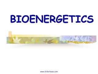 BIOENERGETICS
www.sliderbase.com
 