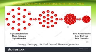 Bioenergetics and the role of ATP to drive the beats of life. | PDF