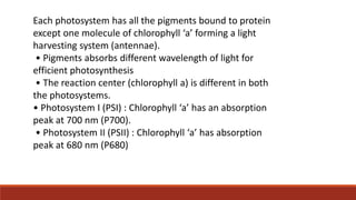 Each photosystem has all the pigments bound to protein
except one molecule of chlorophyll ‘a’ forming a light
harvesting system (antennae).
• Pigments absorbs different wavelength of light for
efficient photosynthesis
• The reaction center (chlorophyll a) is different in both
the photosystems.
• Photosystem I (PSI) : Chlorophyll ‘a’ has an absorption
peak at 700 nm (P700).
• Photosystem II (PSII) : Chlorophyll ‘a’ has absorption
peak at 680 nm (P680)
 