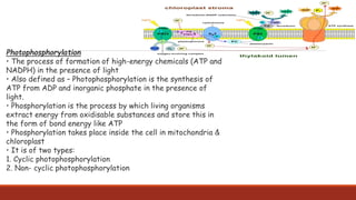 Photophosphorylation
• The process of formation of high-energy chemicals (ATP and
NADPH) in the presence of light
• Also defined as – Photophosphorylation is the synthesis of
ATP from ADP and inorganic phosphate in the presence of
light.
• Phosphorylation is the process by which living organisms
extract energy from oxidisable substances and store this in
the form of bond energy like ATP
• Phosphorylation takes place inside the cell in mitochondria &
chloroplast
• It is of two types:
1. Cyclic photophosphorylation
2. Non- cyclic photophosphorylation
 