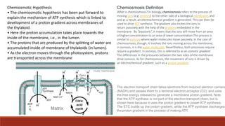 The electron transport chain takes electrons from reduced electron carriers
(NADH) and passes them to a terminal electron acceptor (O2), and uses
the free energy released to generate a membrane proton gradient. Note
that the ATP synthase is not part of the electron transport chain, but is
shown here because it uses the proton gradient to power ATP synthesis.
The ETC builds up the proton gradient, while the ATP synthase discharges
the proton gradient in the process of making ATP.
Chemiosmosis Definition
What is chemiosmosis? In biology, chemiosmosis refers to the process of
moving ions (e.g. protons) to the other side of a biological membrane, and
and as a result, an electrochemical gradient is generated. This can then be
used to drive ATP synthesis. The gradient also incites the ions to
return passively with the help of the proteins embedded in the
membrane. By “passively”, it means that the ions will move from an area
of higher concentration to an area of lower concentration.This process is
similar to osmosis where water molecules move passively. In the case of
chemiosmosis, though, it involves the ions moving across the membrane;
in osmosis, it is the water molecules. Nevertheless, both processes require
require a gradient. In osmosis, this is referred to as an osmotic gradient.
The differences in the pressures between the two sides of the membrane
drive osmosis. As for chemiosmosis, the movement of ions is driven by
an electrochemical gradient, such as a proton gradient.
Chemiosmotic Hypothesis
• The chemiosmotic hypothesis has been put forward to
explain the mechanism of ATP synthesis which is linked to
development of a proton gradient across membranes of
the thylakoid.
• Here the proton accumulation takes place towards the
inside of the membrane, i.e., in the lumen.
• The protons that are produced by the splitting of water are
accumulated inside of membrane of thylakoids (in lumen).
• As the electron moves through the photosystem, protons
are transported across the membrane
 