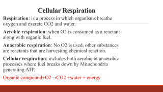 Cellular Respiration
Respiration: is a process in which organisms breathe
oxygen and excrete CO2 and water.
Aerobic respiration: when O2 is consumed as a reactant
along with organic fuel.
Anaerobic respiration: No O2 is used, other substances
are reactants that are harvesting chemical reaction.
Cellular respiration: includes both aerobic & anaerobic
processes where fuel breaks down by Mitochondria
generating ATP.
Organic compound+O2→CO2 +water + energy
 