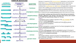 Glycolysis is a sequence of 10 chemical reactions taking place in most cells that
breaks down a glucose molecule into two pyruvate (pyruvic acid) molecules.
Energy released during the breakdown of glucose and other organic fuel
molecules from carbohydrates, fats, and proteins during glycolysis is captured and
stored in ATP. In addition, the compound nicotinamide adenine dinucleotide
NAD+) is converted to NADH (during this step. Pyruvate molecules produced
during glycolysis then enter the mitochondria, where they are each converted
into a compound known as acetyl coenzyme A, which then enters the TCA cycle.
this metabolic pathway was discovered by three German biochemists-
Embden, Meyerhof, and Parnas in the early 19th century and is known
as the EMP pathway (Embden–Meyerhof–Parnas).
Stage 1
•A phosphate group is added to glucose in the cell cytoplasm, by the
action of enzyme hexokinase.
•In this, a phosphate group is transferred from ATP to glucose
forming glucose,6-phosphate.
Stage 2
Glucose-6-phosphate is isomerized into fructose,6-phosphate by the
enzyme phosphoglucoisomerase.
Stage 3
The other ATP molecule transfers a phosphate group to fructose 6-
phosphate and converts it into fructose 1,6-bisphosphate by the action
of the enzyme phosphofructokinase.
Stage 4
The enzyme aldolase converts fructose 1,6-bisphosphate into
glyceraldehyde 3-phosphate and dihydroxyacetone phosphate, which
are isomers of each other.
 