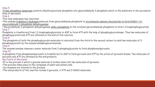 Step 5
Triose-phosphate isomerase converts dihydroxyacetone phosphate into glyceraldehyde 3-phosphate which is the substrate in the successive
step of glycolysis.
Step 6
This step undergoes two reactions:
•The enzyme transfers 1 hydrogen molecule from glyceraldehyde phosphate to nicotinamide adenine dinucleotide to form NADH + H+.
glyceraldehyde 3-phosphate dehydrogenase
• Glyceraldehyde 3-phosphate dehydrogenase adds a phosphate to the oxidized glyceraldehyde phosphate to form 1,3-bisphosphoglycerate.
Step 7
Phosphate is transferred from 1,3-bisphosphoglycerate to ADP to form ATP with the help of phosphoglycerokinase. Thus two molecules of
phosphoglycerate and ATP are obtained at the end of this reaction.
Step 8
The phosphate of both the phosphoglycerate molecules is relocated from the third to the second carbon to yield two molecules of 2-
phosphoglycerate by the enzyme phosphoglyceromutase.
Step 9
The enzyme enolase removes a water molecule from 2-phosphoglycerate to form phosphoenolpyruvate.
Step 10
A phosphate from phosphoenolpyruvate is transferred to ADP to form pyruvate and ATP by the action of pyruvate kinase. Two molecules of
pyruvate and ATP are obtained as the end products.
Key Points of Glycolysis
•It is the process in which a glucose molecule is broken down into two molecules of pyruvate.
•The process takes place in the cytoplasm of plant and animal cells.
•Six enzymes are involved in the process.
•The end products of the reaction include 2 pyruvate, 2 ATP and 2 NADH molecules.
 