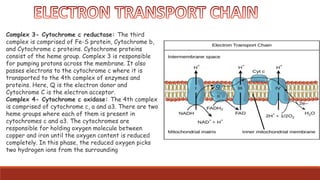 Complex 3- Cytochrome c reductase: The third
complex is comprised of Fe-S protein, Cytochrome b,
and Cytochrome c proteins. Cytochrome proteins
consist of the heme group. Complex 3 is responsible
for pumping protons across the membrane. It also
passes electrons to the cytochrome c where it is
transported to the 4th complex of enzymes and
proteins. Here, Q is the electron donor and
Cytochrome C is the electron acceptor.
Complex 4- Cytochrome c oxidase: The 4th complex
is comprised of cytochrome c, a and a3. There are two
heme groups where each of them is present in
cytochromes c and a3. The cytochromes are
responsible for holding oxygen molecule between
copper and iron until the oxygen content is reduced
completely. In this phase, the reduced oxygen picks
two hydrogen ions from the surrounding
 