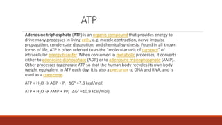 ATP
Adenosine triphosphate (ATP) is an organic compound that provides energy to
drive many processes in living cells, e.g. muscle contraction, nerve impulse
propagation, condensate dissolution, and chemical synthesis. Found in all known
forms of life, ATP is often referred to as the "molecular unit of currency" of
intracellular energy transfer. When consumed in metabolic processes, it converts
either to adenosine diphosphate (ADP) or to adenosine monophosphate (AMP).
Other processes regenerate ATP so that the human body recycles its own body
weight equivalent in ATP each day. It is also a precursor to DNA and RNA, and is
used as a coenzyme.
ATP + H2O → ADP + Pi ΔG° =7.3 kcal/mol)
ATP + H2O → AMP + PPi ΔG° =10.9 kcal/mol)
 