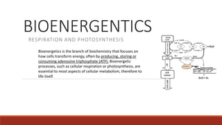 BIOENERGENTICS
RESPIRATION AND PHOTOSYNTHESIS
Bioenergetics is the branch of biochemistry that focuses on
how cells transform energy, often by producing, storing or
consuming adenosine triphosphate (ATP). Bioenergetic
processes, such as cellular respiration or photosynthesis, are
essential to most aspects of cellular metabolism, therefore to
life itself.
 