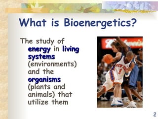 2
What is Bioenergetics?
The study of
energy
energy in living
living
systems
systems
(environments)
and the
organisms
organisms
(plants and
animals) that
utilize them
 