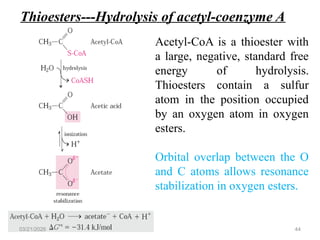 Bioenergetics and the energy sources.pptx