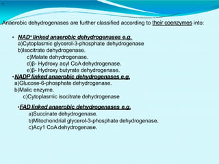 Anaerobic dehydrogenases are further classified according to their coenzymes into:
•.
• NAD+ linked anaerobic dehydrogenases e.g.
a)Cytoplasmic glycerol-3-phosphate dehydrogenase
b)Isocitrate dehydrogenase.
c)Malate dehydrogenase.
d)β- Hydroxy acyl CoA dehydrogenase.
e)β- Hydroxy butyrate dehydrogenase.
•NADP linked anaerobic dehydrogenases e.g.
a)Glucose-6-phosphate dehydrogenase.
b)Malic enzyme.
c)Cytoplasmic isocitrate dehydrogenase
•FAD linked anaerobic dehydrogenases e.g.
a)Succinate dehydrogenase.
b)Mitochondrial glycerol-3-phosphate dehydrogenase.
c)Acy1 CoA dehydrogenase.
 