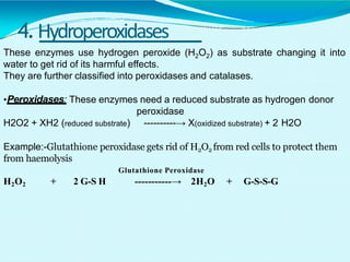 4.Hydroperoxidases
These enzymes use hydrogen peroxide (H2O2) as substrate changing it into
water to get rid of its harmful effects.
They are further classified into peroxidases and catalases.
•Peroxidases: These enzymes need a reduced substrate as hydrogen donor
peroxidase
H2O2 + XH2 (reduced substrate) ----------→ X(oxidized substrate) + 2 H2O
Example:-Glutathione peroxidase gets rid of H2O2 from red cells to protect them
from haemolysis
Glutathione Peroxidase
H2O2 + 2 G-S H -----------→ 2H2O + G-S-S-G
 